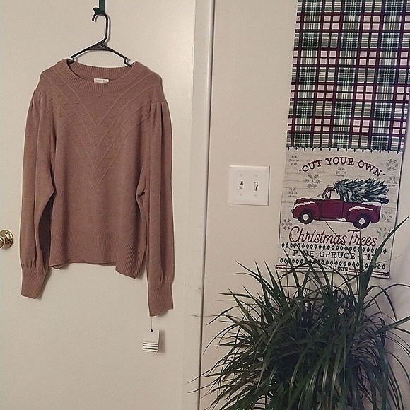 NWT Dusty Rose Balloon Sleeve Stitch Sweater Cozy Ophelia Roe 3X - Picture 8 of 8